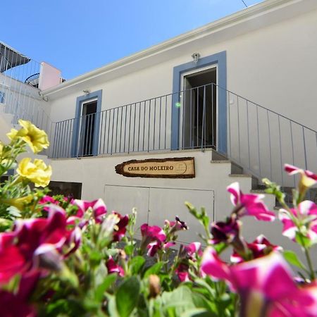 Casa Do Moleiro Διαμέρισμα Amarante Εξωτερικό φωτογραφία
