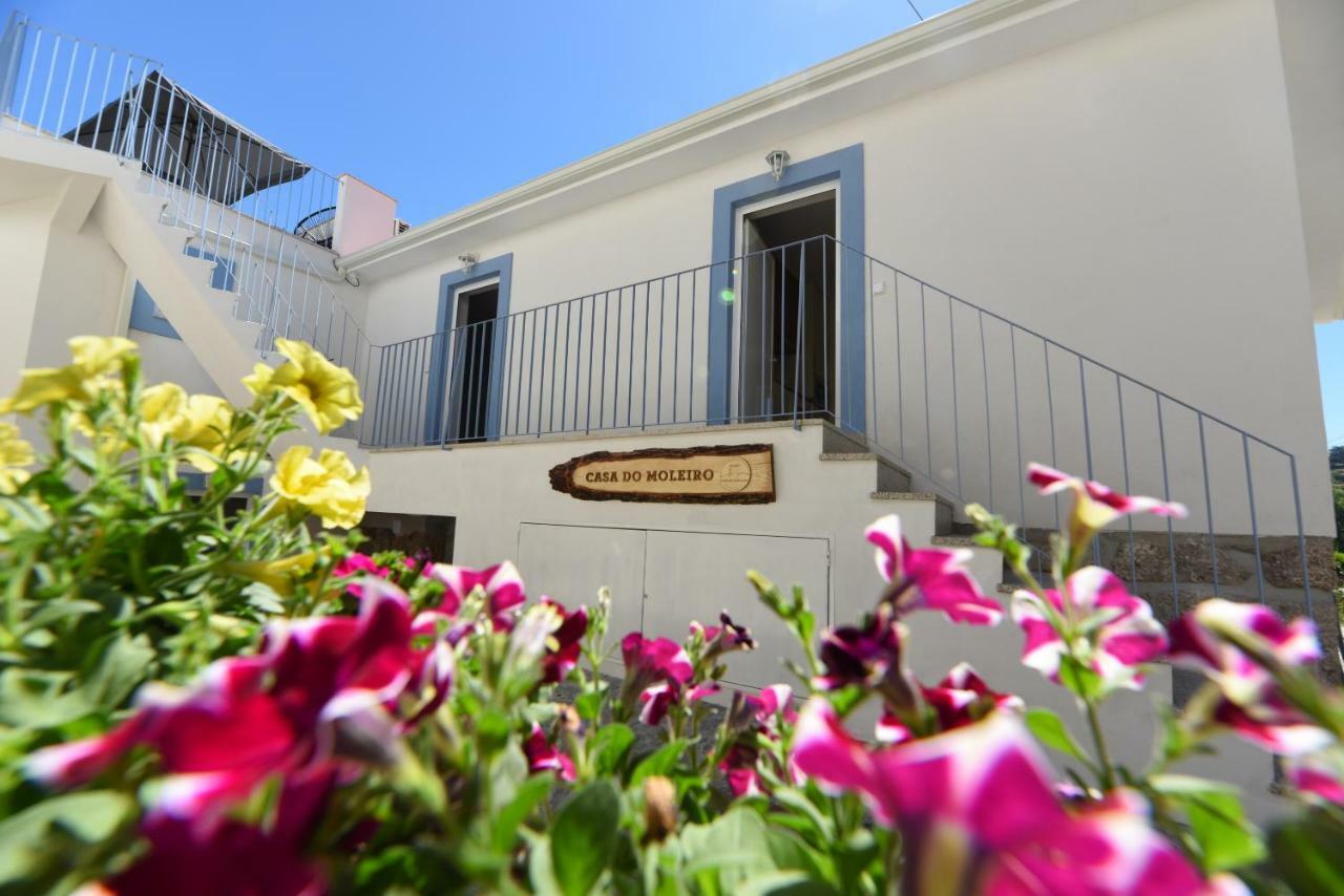 Casa Do Moleiro Διαμέρισμα Amarante Εξωτερικό φωτογραφία